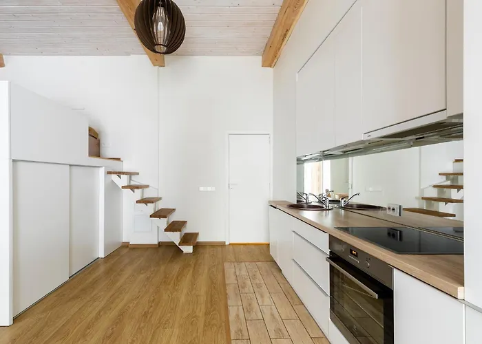 Cozy Apartment Vilnius