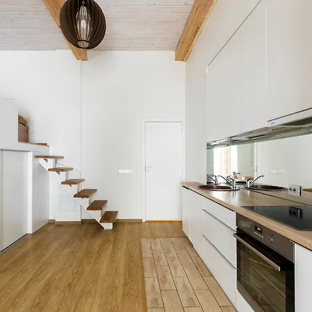 Cozy Daire Vilnius